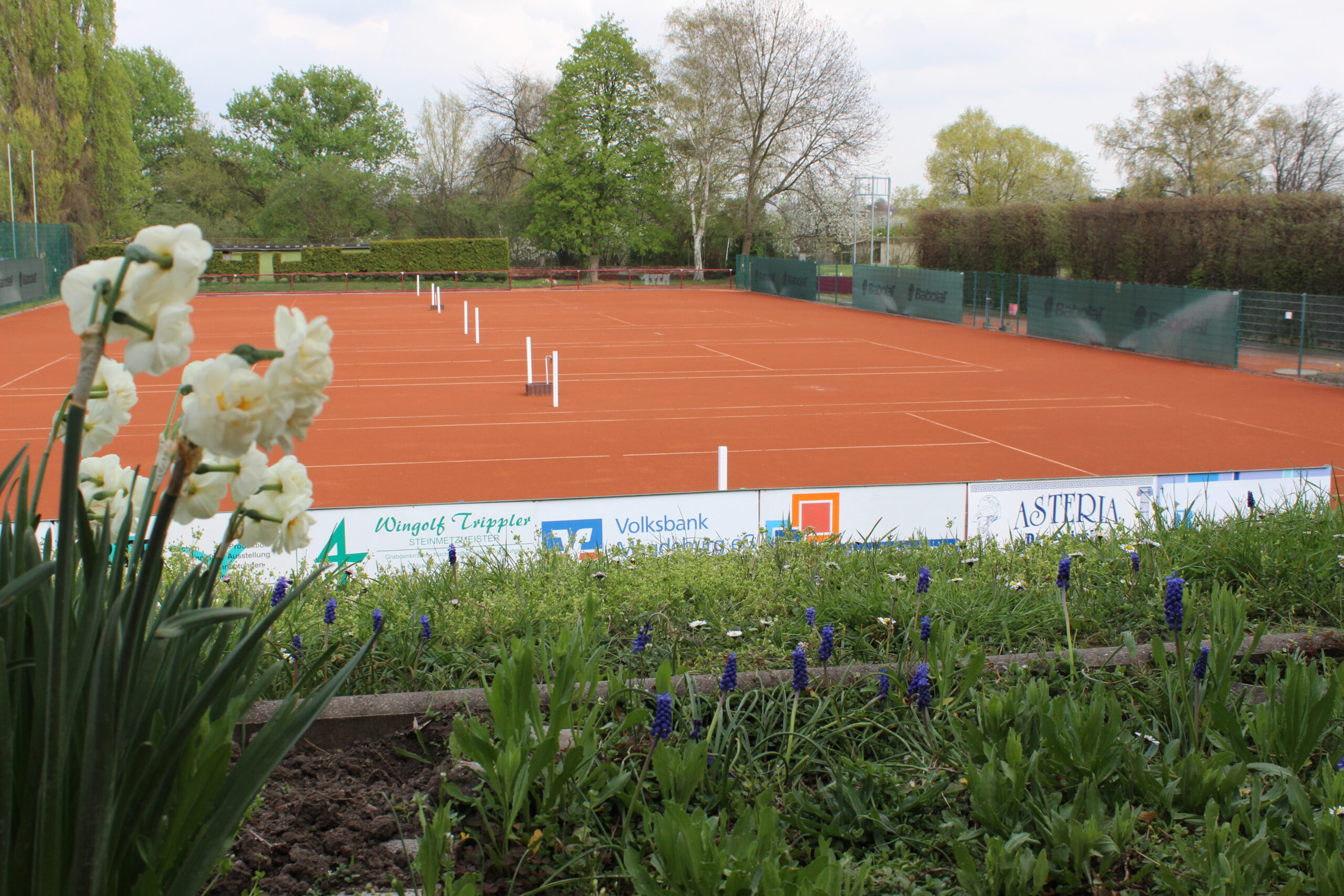 Frühling auf der Tennisanlage des 1. TC Magdeburg