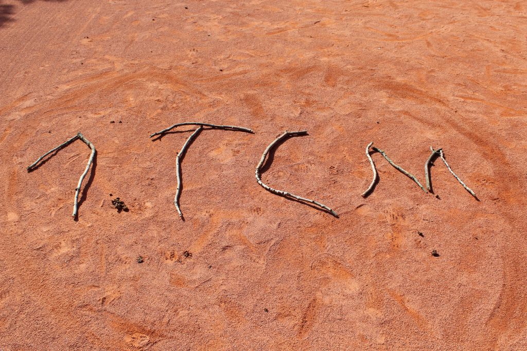 TCM-Mannschaftsergebnisse der Sommersaison 2018