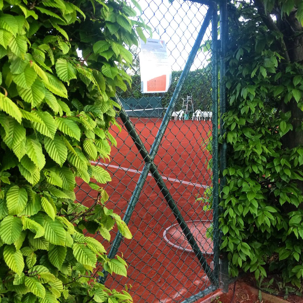 plätze56-tennis-magdeburg-tcm